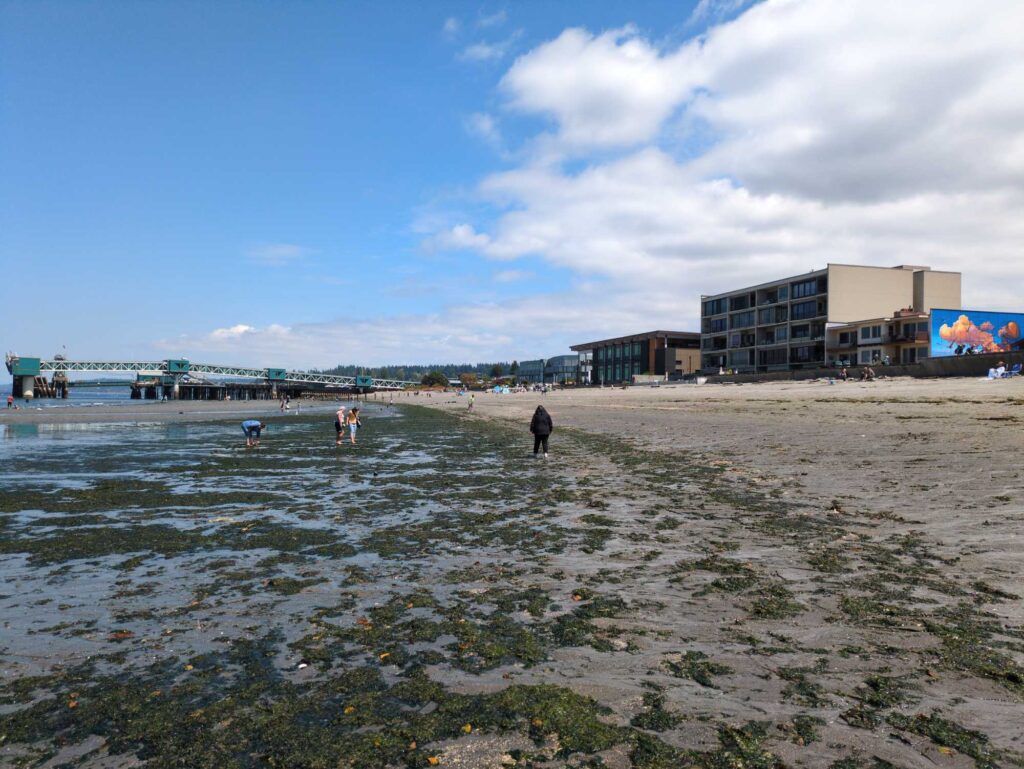 a group of people on a beach (MyCoast AI)