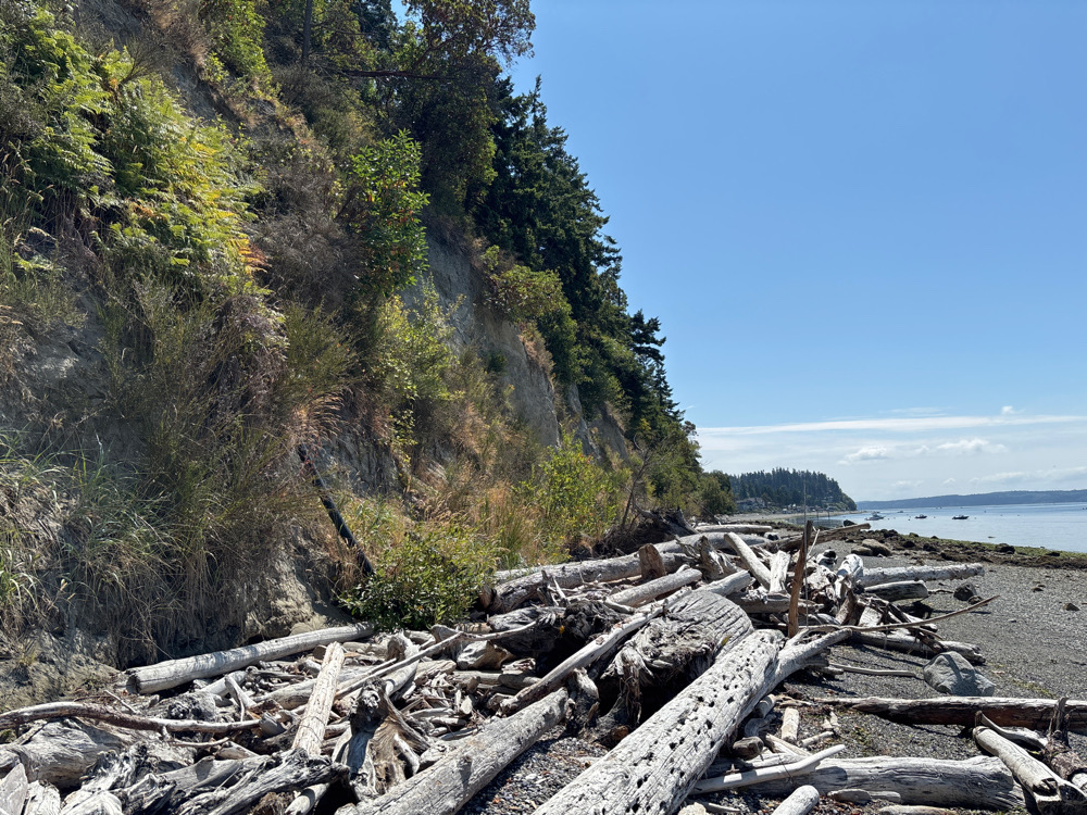 a rocky hillside with trees and a body of water in the background (MyCoast AI)