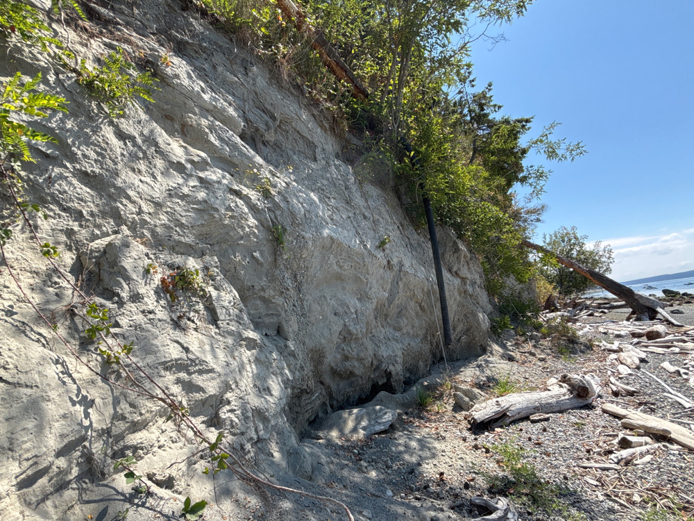 a large rock cliff (MyCoast AI)