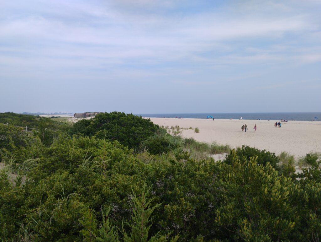 a beach with people and trees (MyCoast AI)