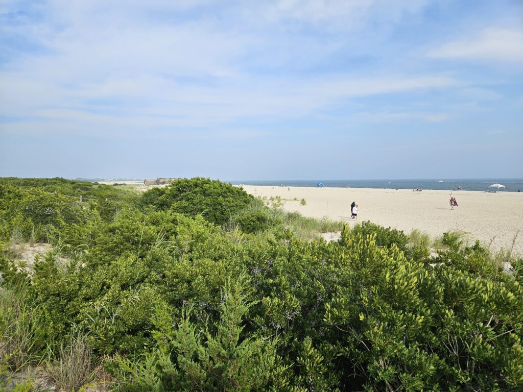 a group of people walking on a beach (MyCoast AI)