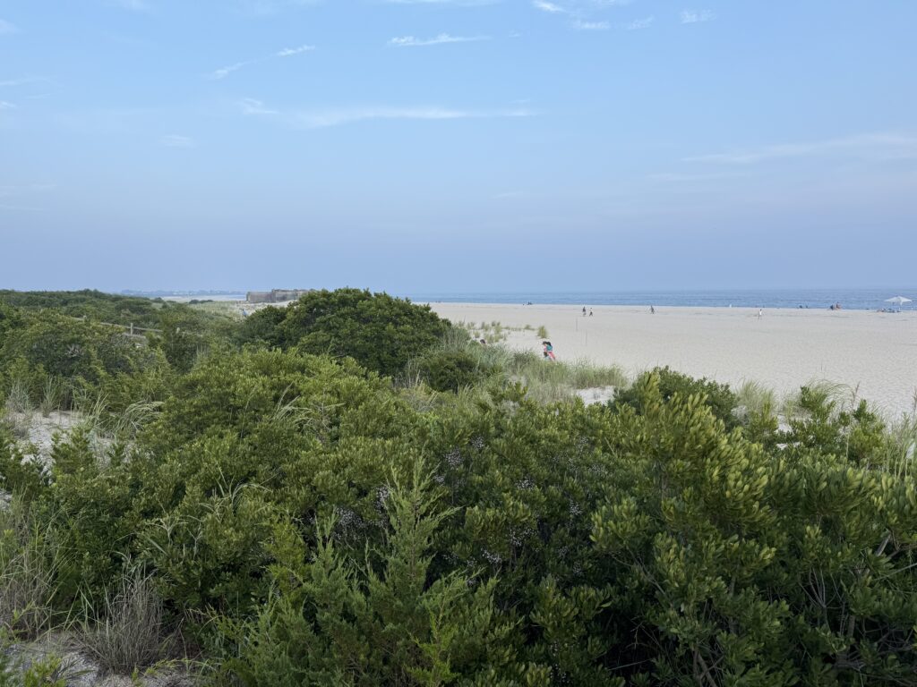 a group of people walking on a beach (MyCoast AI)