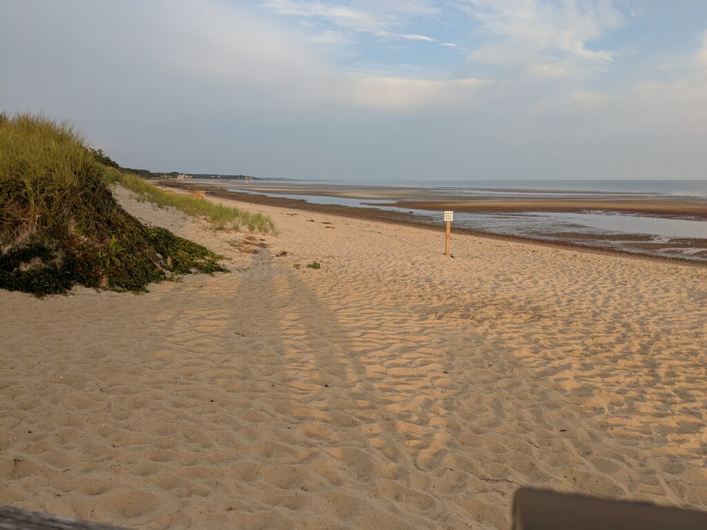a sandy beach with a small white post in the middle (MyCoast AI)