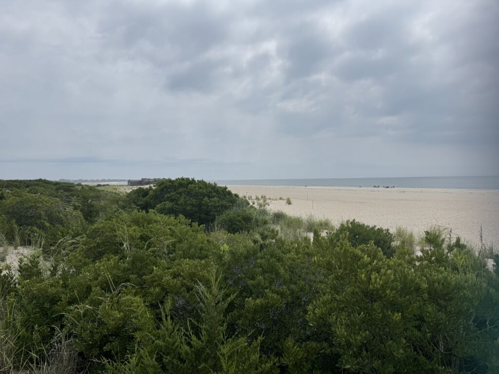 a beach with trees and bushes (MyCoast AI)