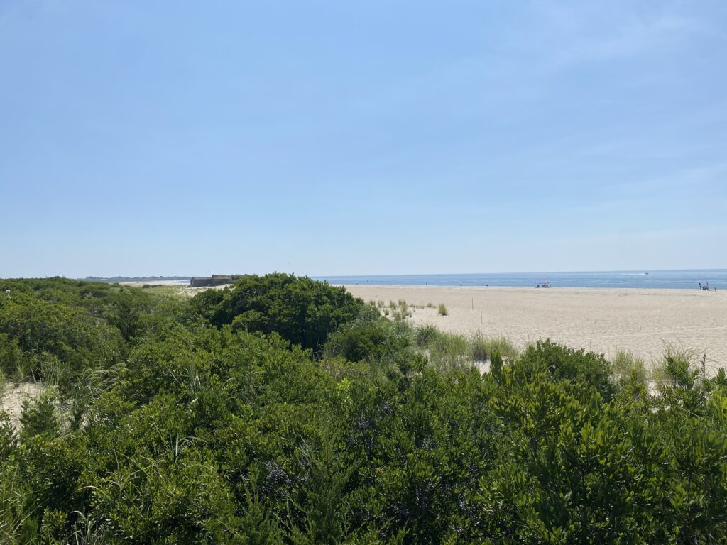 a beach with trees and bushes (MyCoast AI)