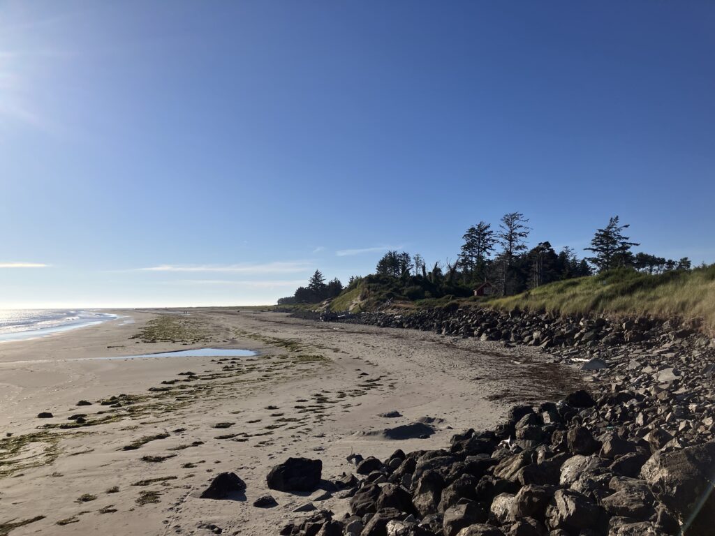 a rocky beach with trees and grass (MyCoast AI)