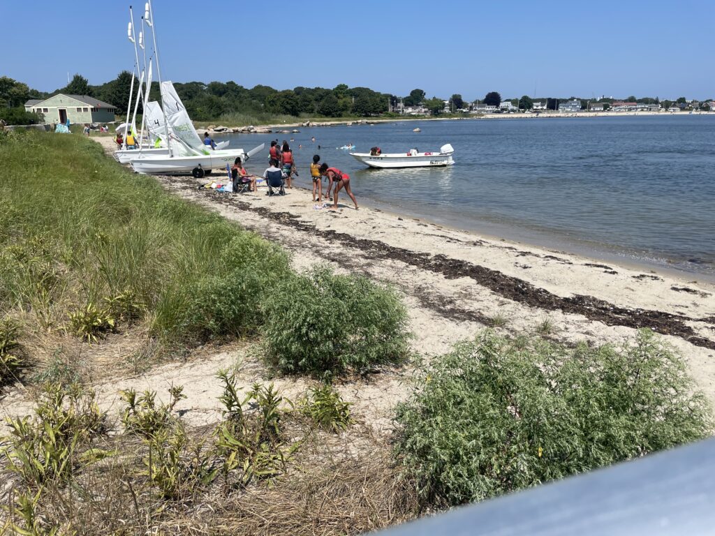 people on a beach (MyCoast AI)