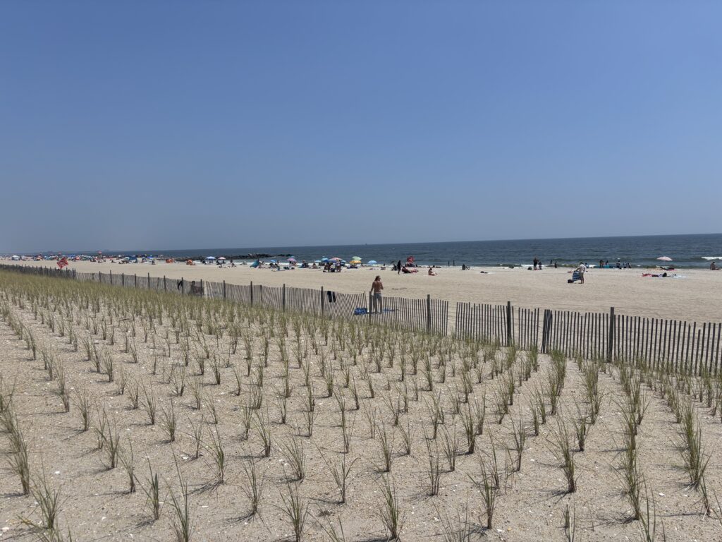 a beach with people on it (MyCoast AI)