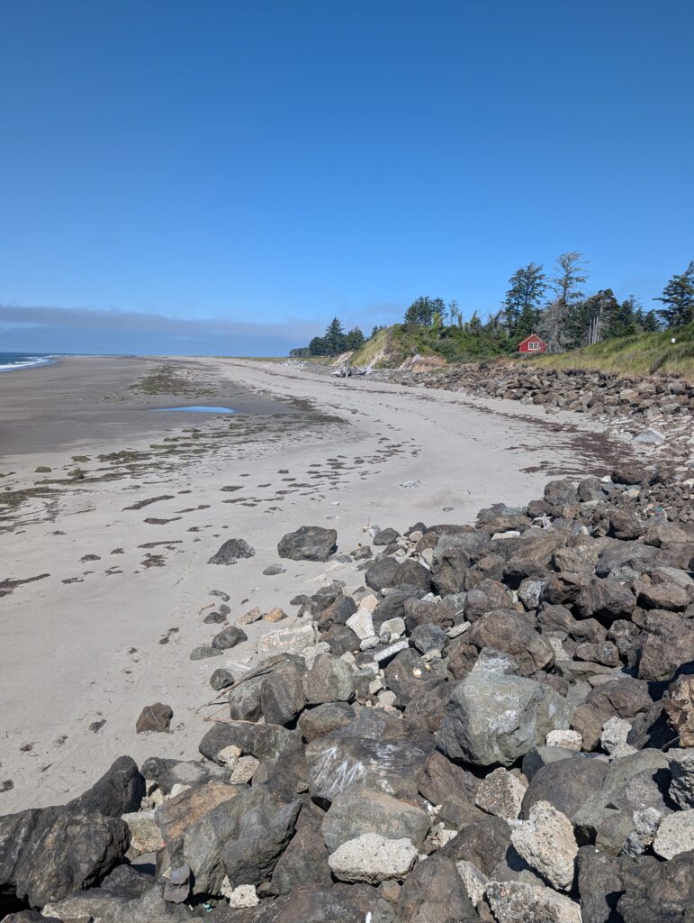 a rocky beach with trees and a hill in the background (MyCoast AI)
