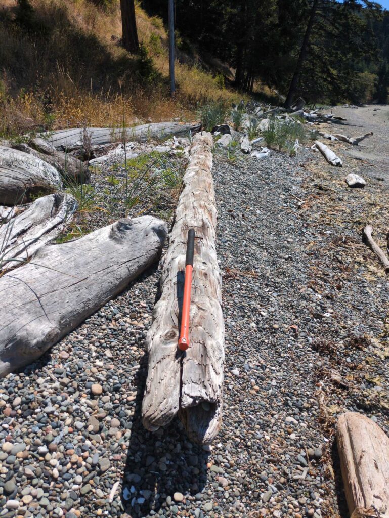 a wood pole with a stick stuck in it (MyCoast AI)