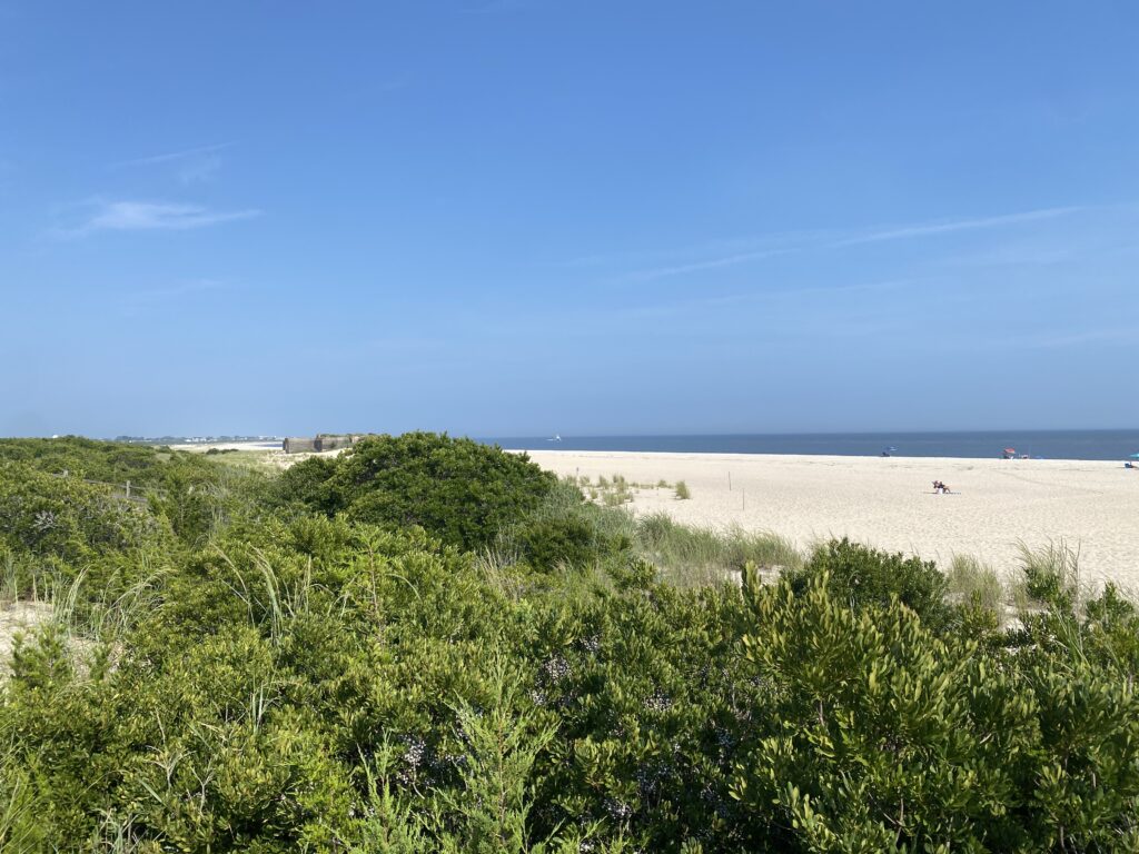 a beach with trees and bushes (MyCoast AI)