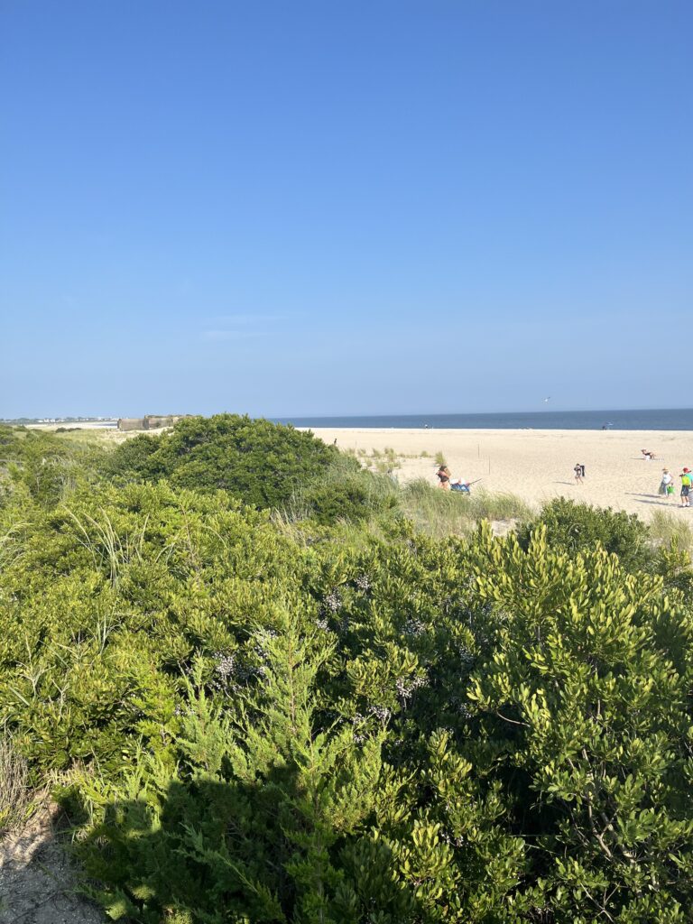 a group of people walking on a beach (MyCoast AI)