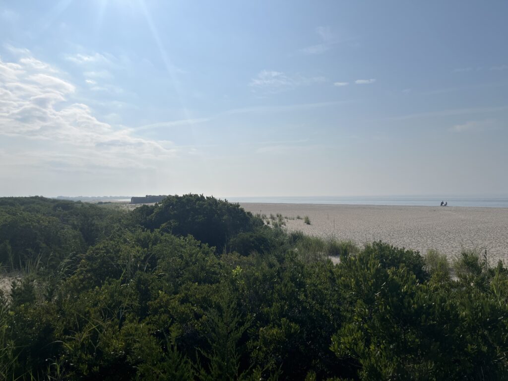 a beach with trees and a body of water in the background (MyCoast AI)