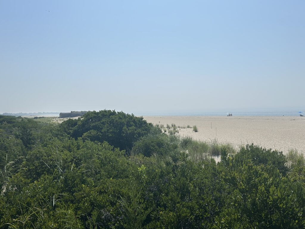 a landscape with trees and a body of water in the background (MyCoast AI)