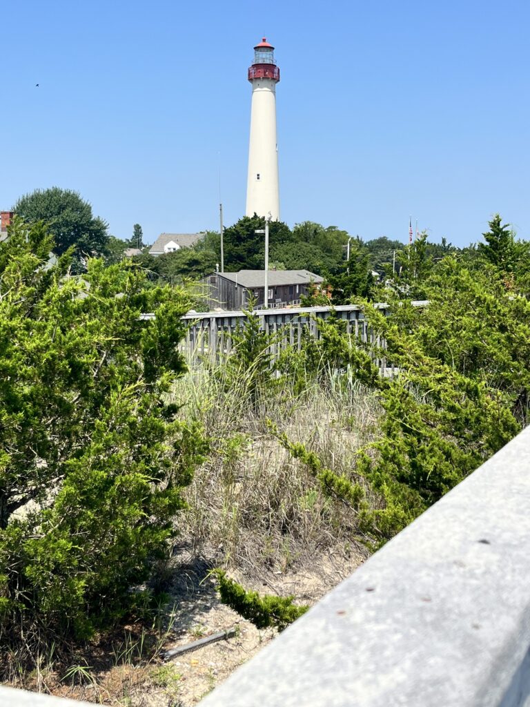 a lighthouse in the distance (MyCoast AI)