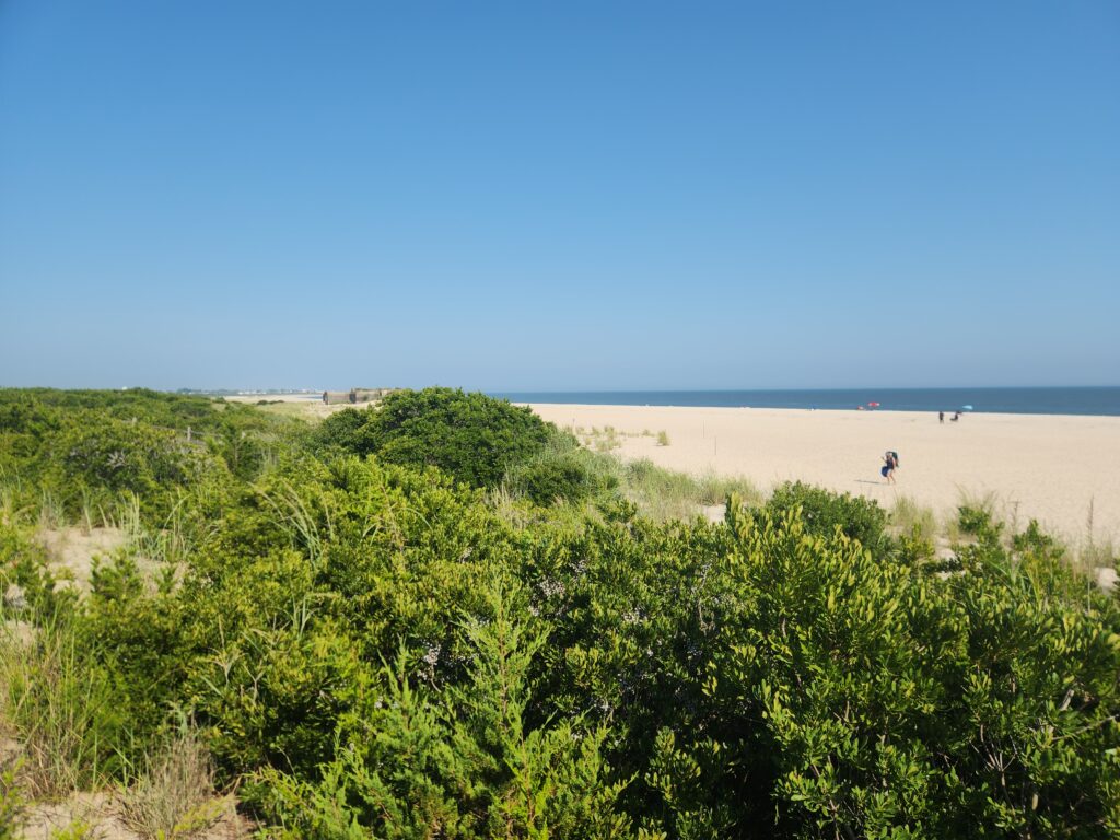 a person walking on a beach (MyCoast AI)