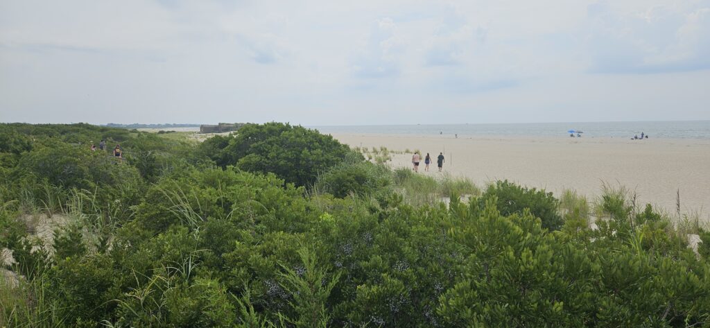 a group of people walking on a beach (MyCoast AI)