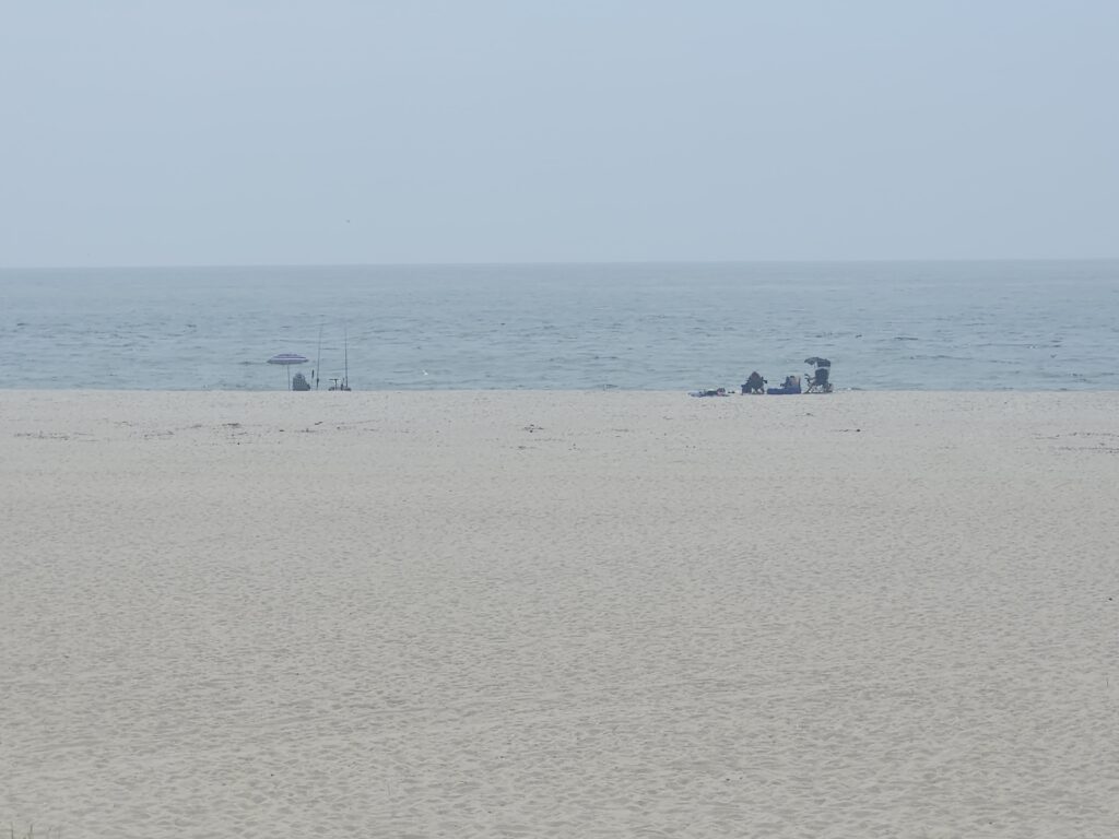 a beach with a body of water in the background (MyCoast AI)