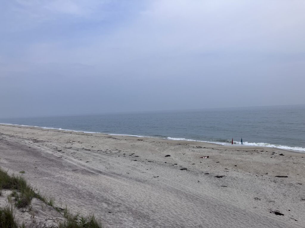 a beach with people on it (MyCoast AI)
