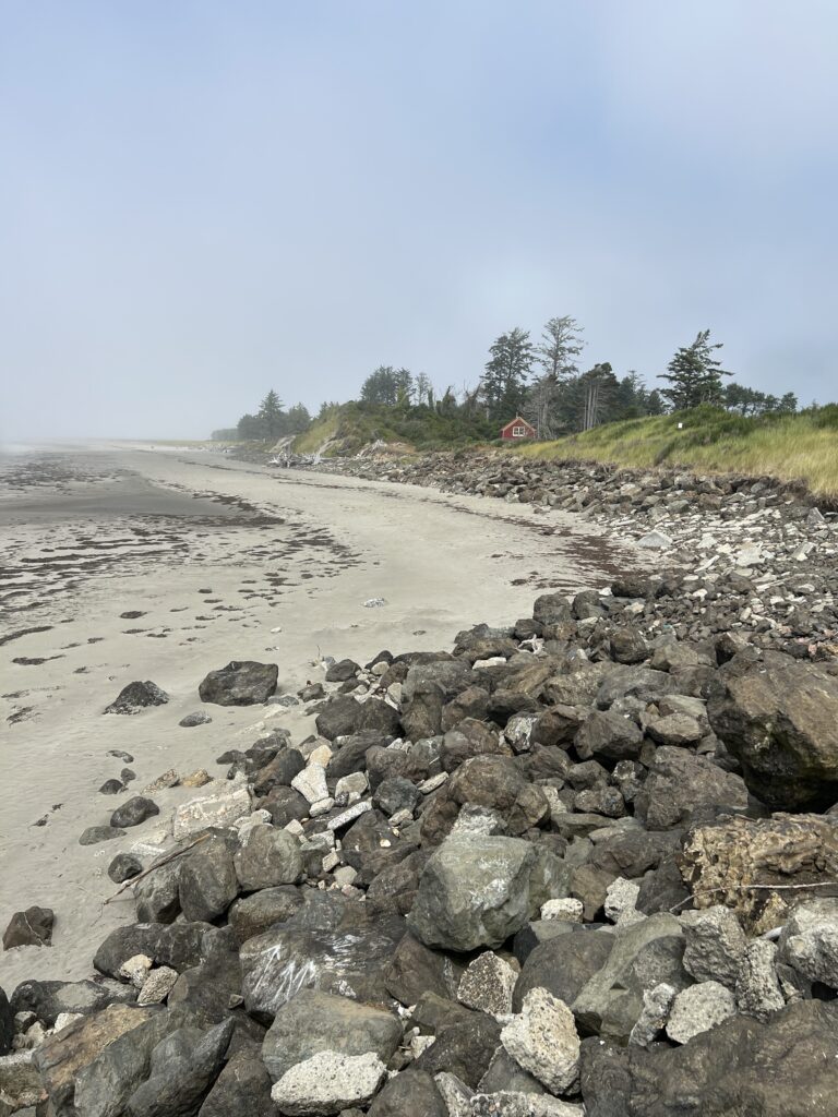 a rocky beach with trees in the background (MyCoast AI)