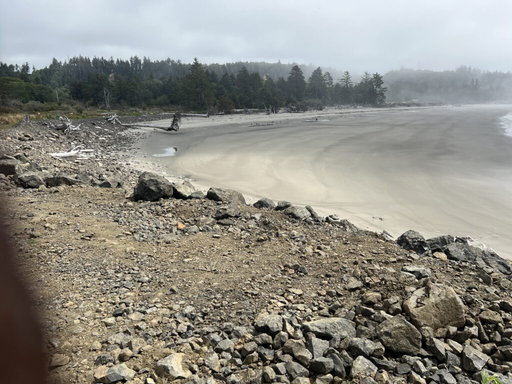 a rocky beach with a body of water in the background (MyCoast AI)