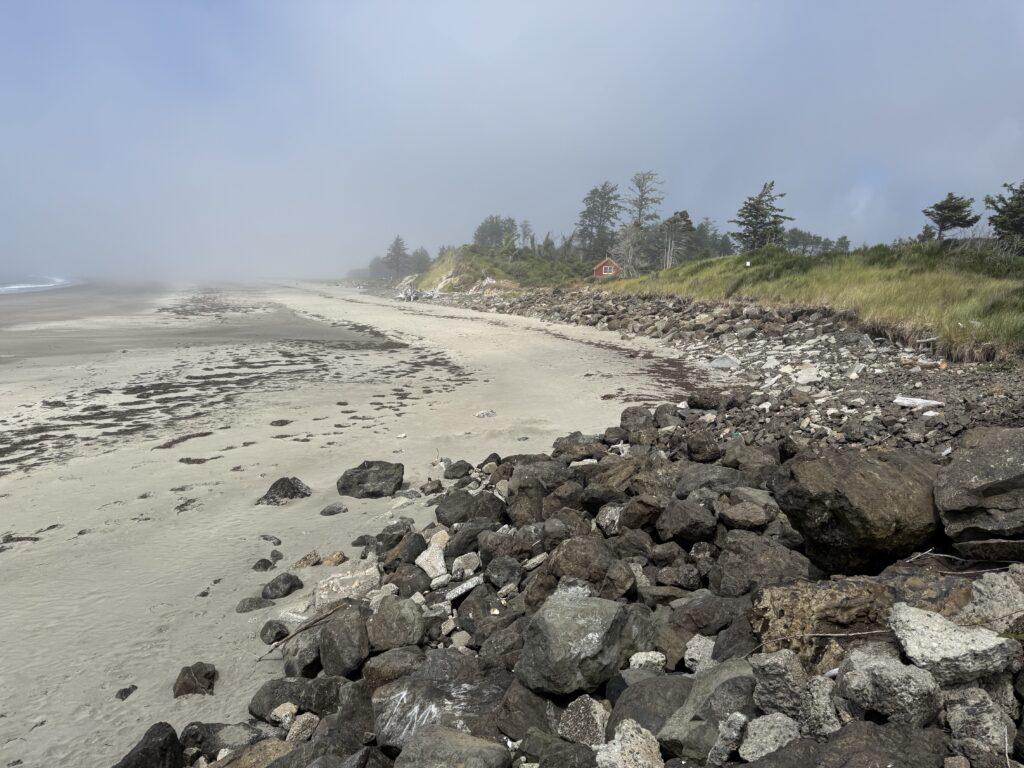 a rocky road with grass and trees (MyCoast AI)