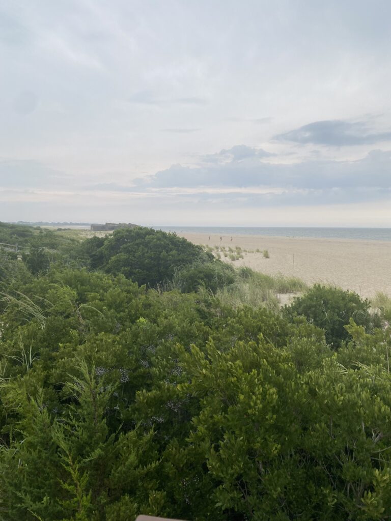 a landscape with trees and a body of water in the background (MyCoast AI)