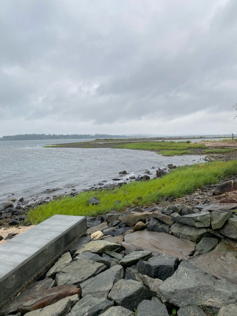 a rocky beach with grass and water (MyCoast AI)