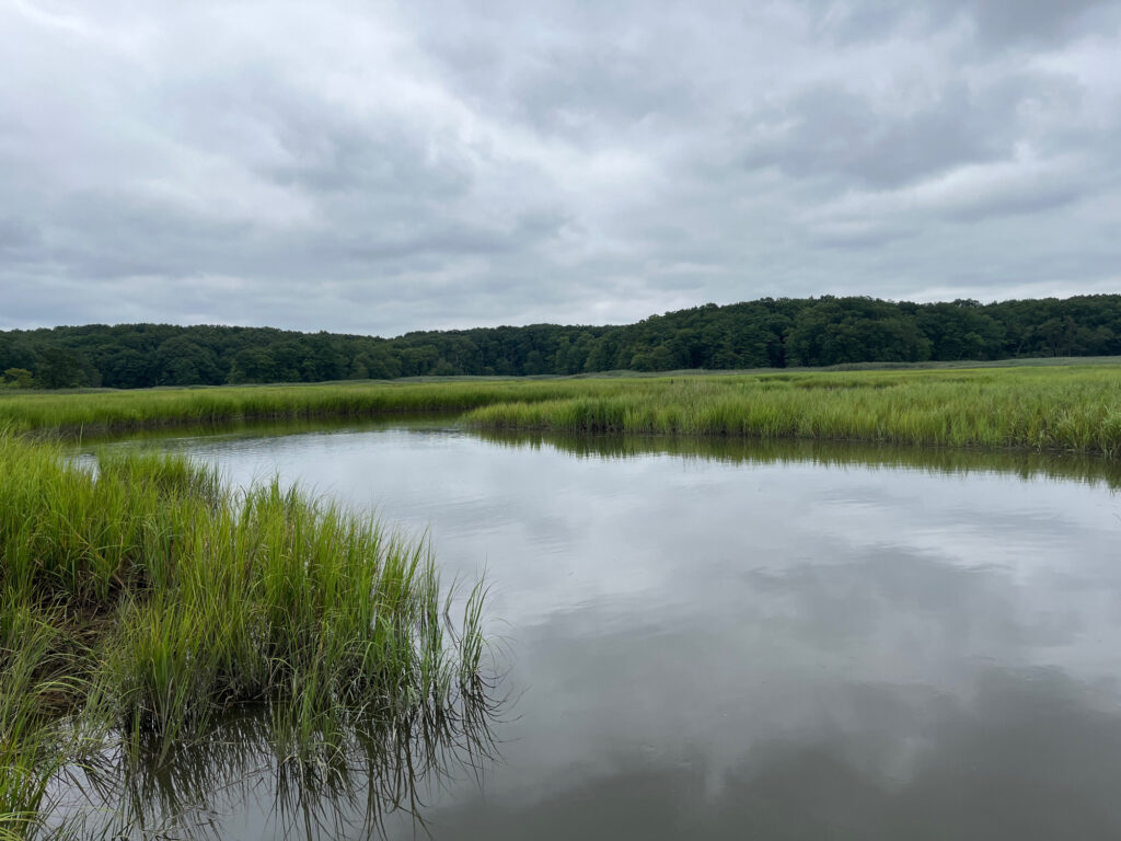 a body of water with grass and trees around it (MyCoast AI)