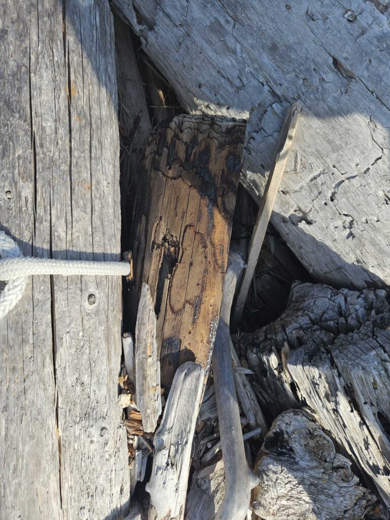 a wooden wall with a hole in it (MyCoast AI)
