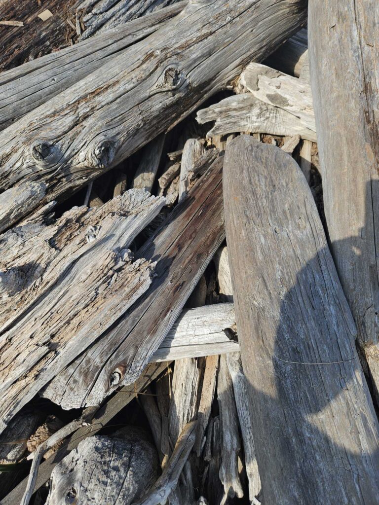 a group of wood planks (MyCoast AI)