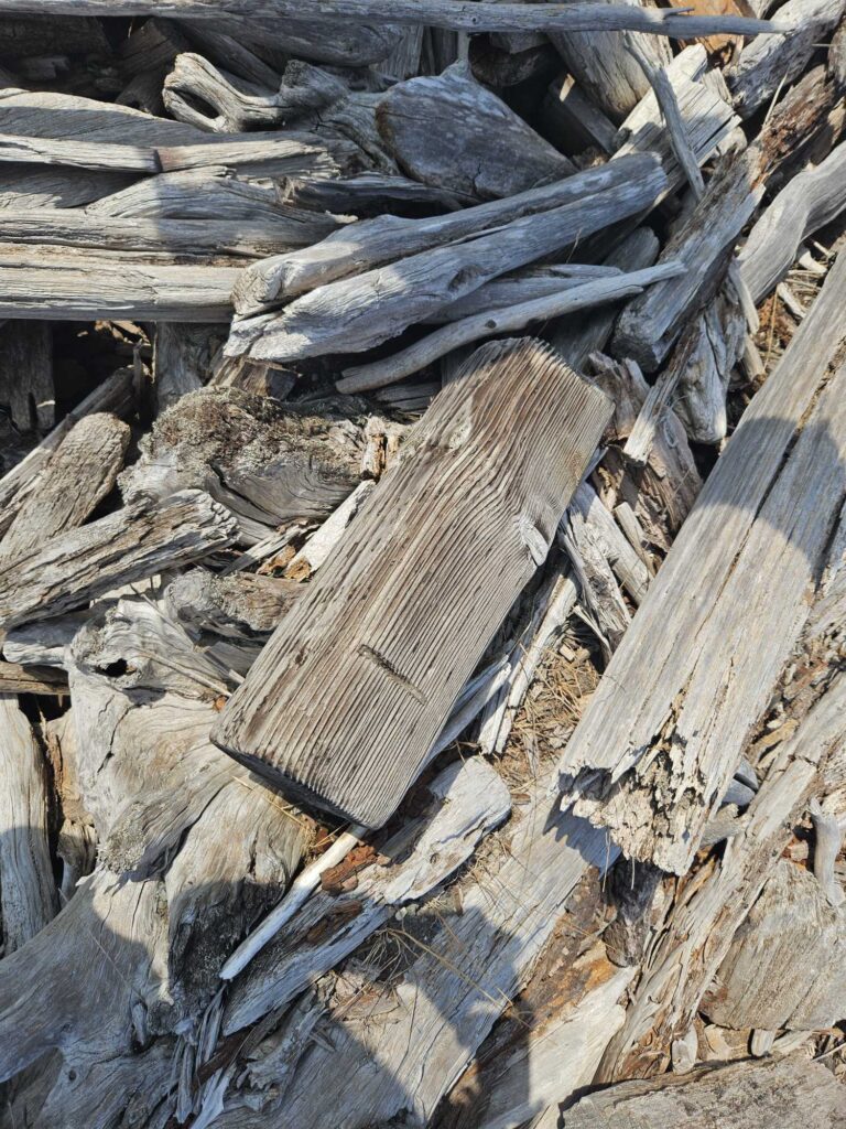 a group of logs (MyCoast AI)