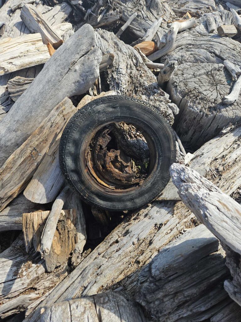 a tire on a pile of wood (MyCoast AI)