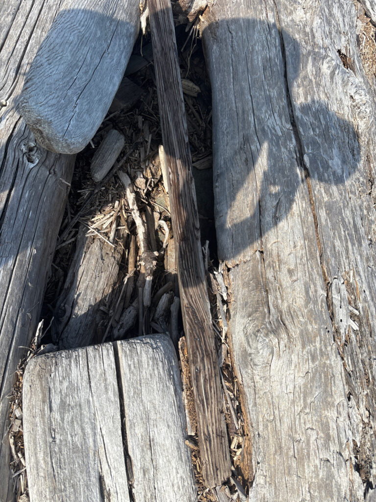 a close up of a wood plank (MyCoast AI)