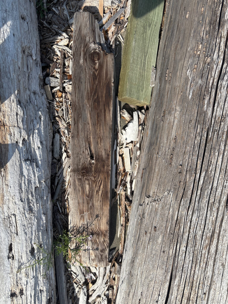 a group of wood boards (MyCoast AI)
