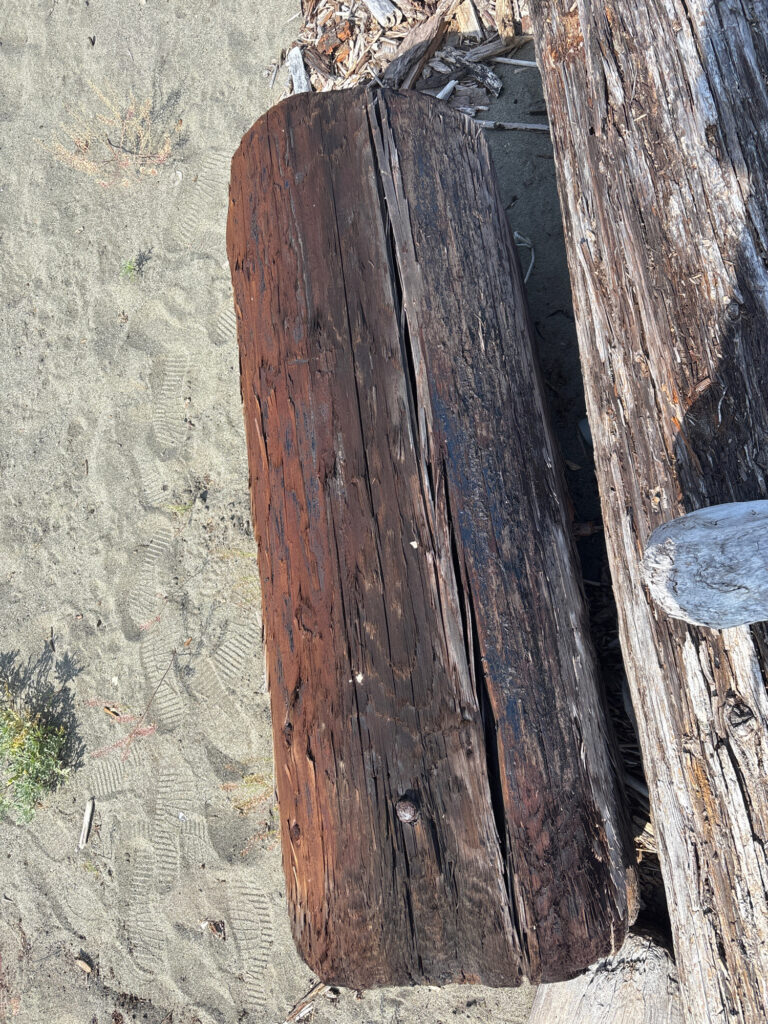 a wooden door in a wall (MyCoast AI)