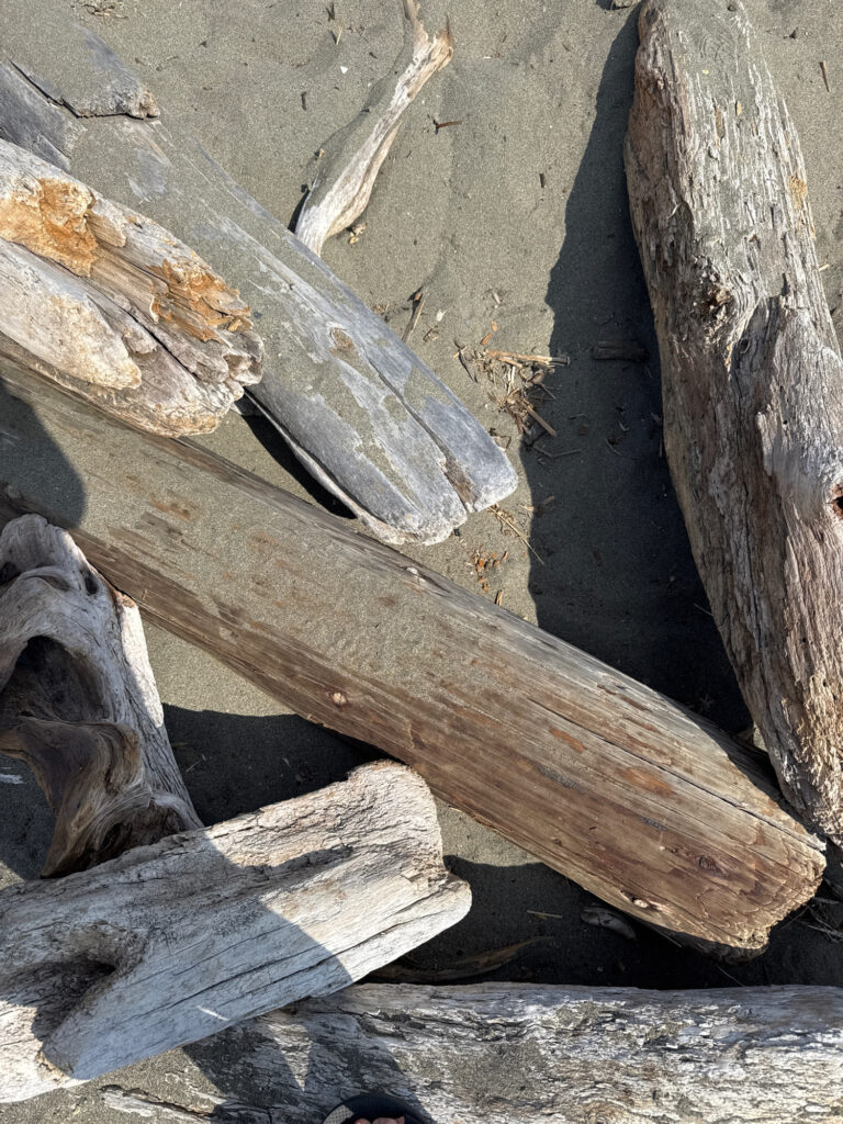 a group of logs (MyCoast AI)