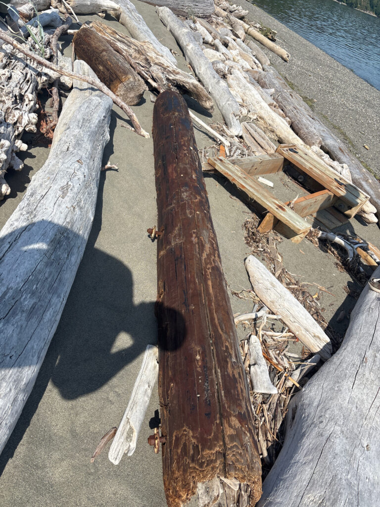 a pile of cut wood (MyCoast AI)