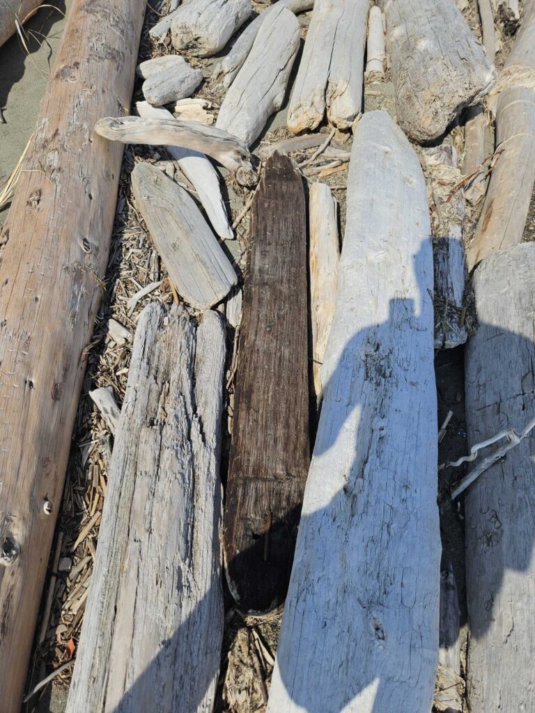 a pile of cut wood (MyCoast AI)