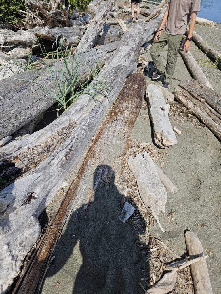 a person standing next to a log (MyCoast AI)