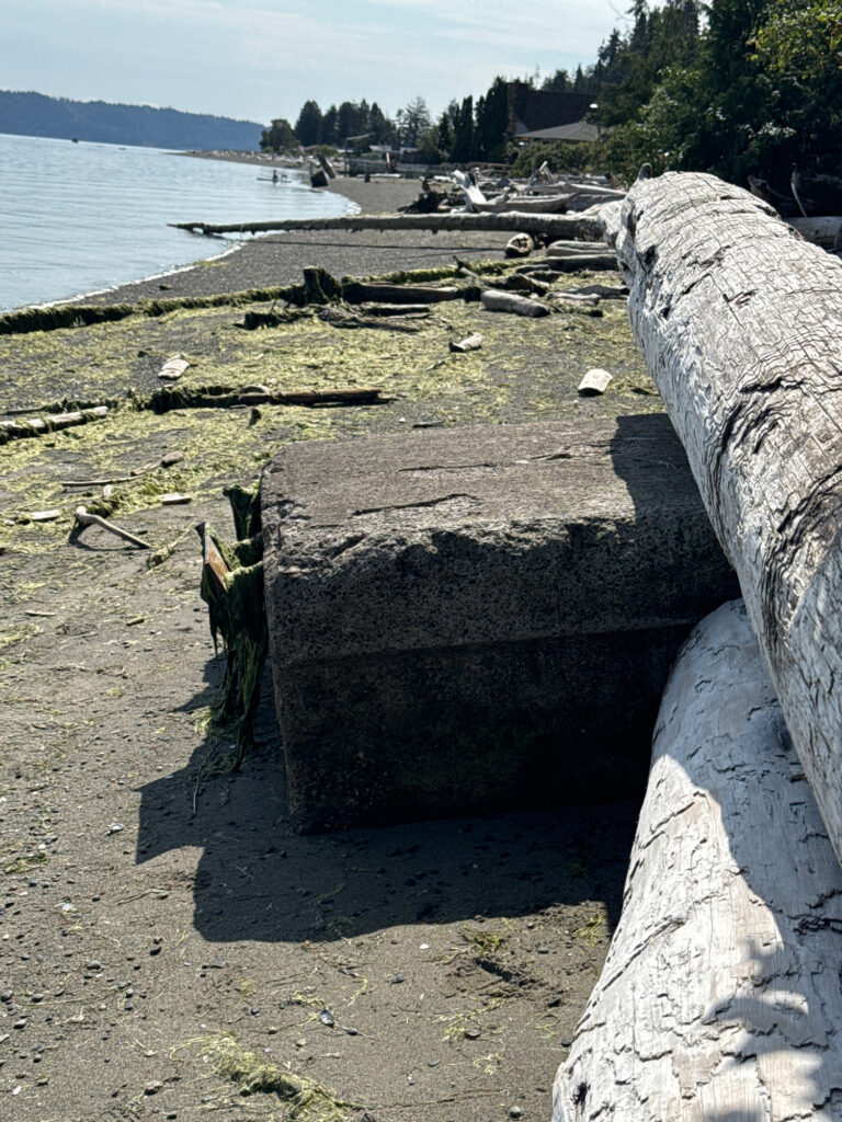 a stone structure on a beach (MyCoast AI)