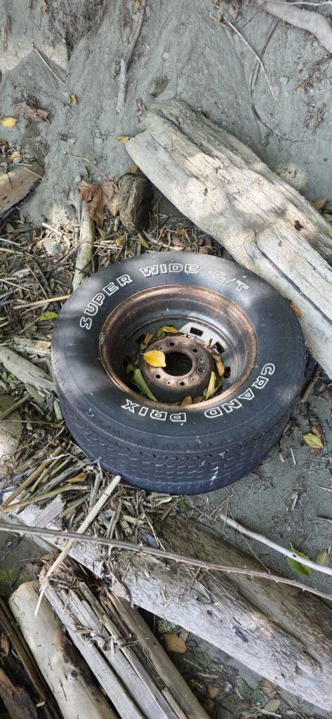 a tire on a tree (MyCoast AI)