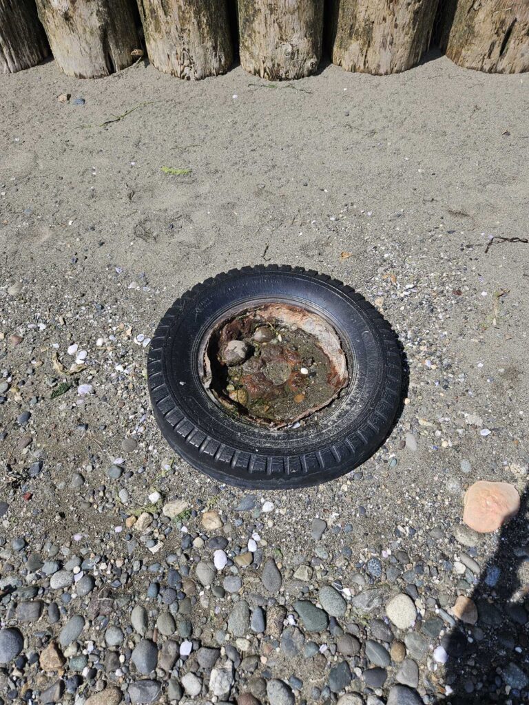 a tire on a gravel surface (MyCoast AI)