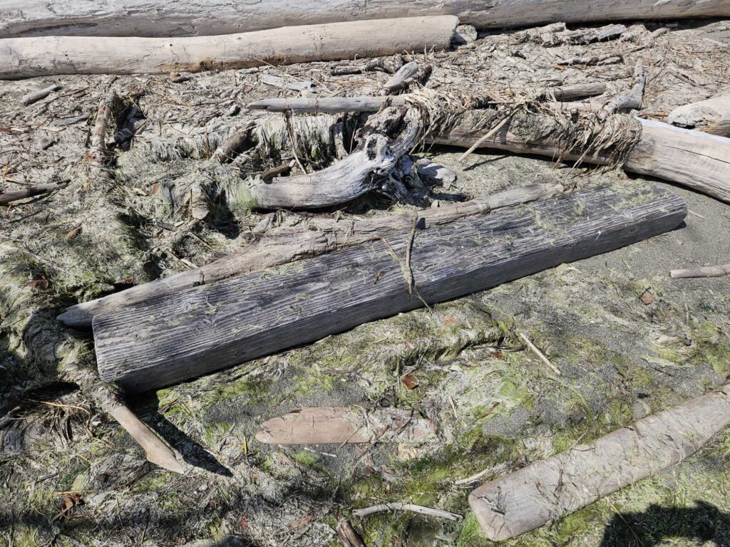 a pile of wood (MyCoast AI)