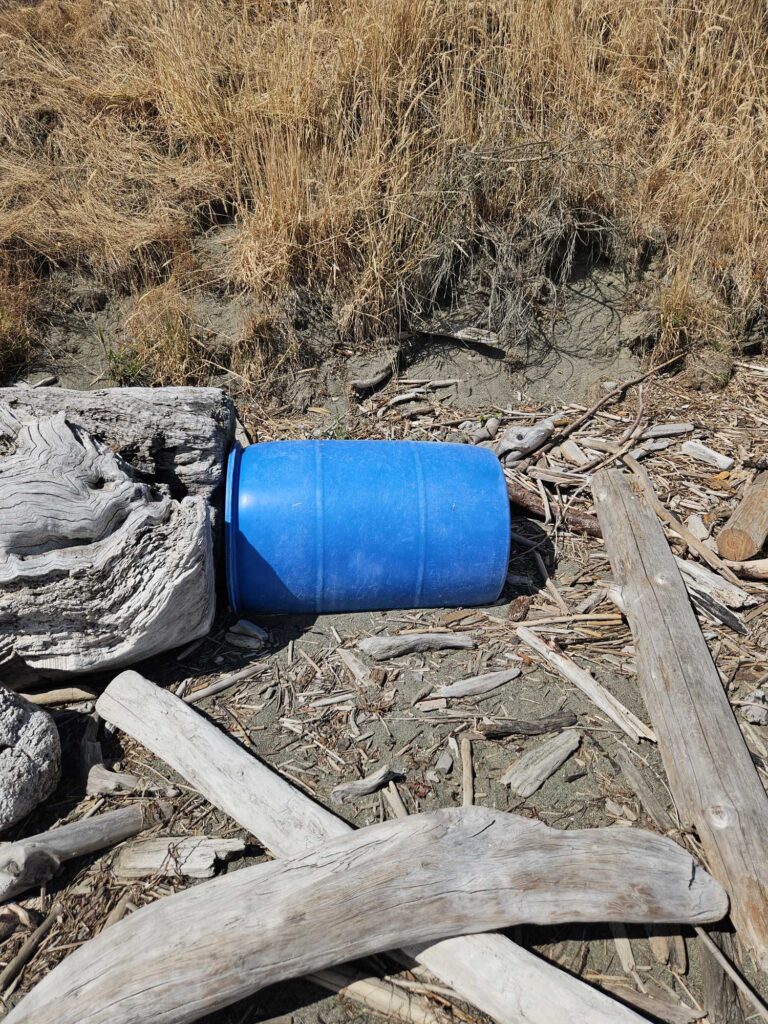 a blue container on a log (MyCoast AI)