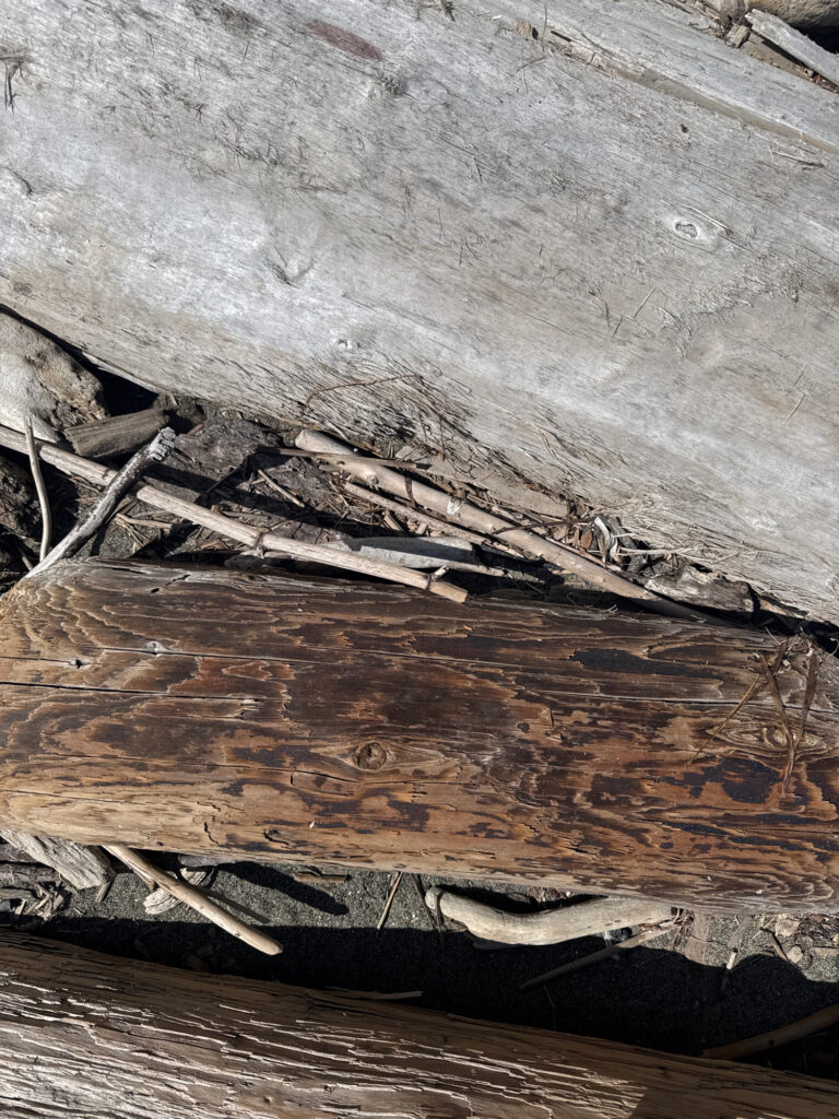 a close-up of a wall (MyCoast AI)