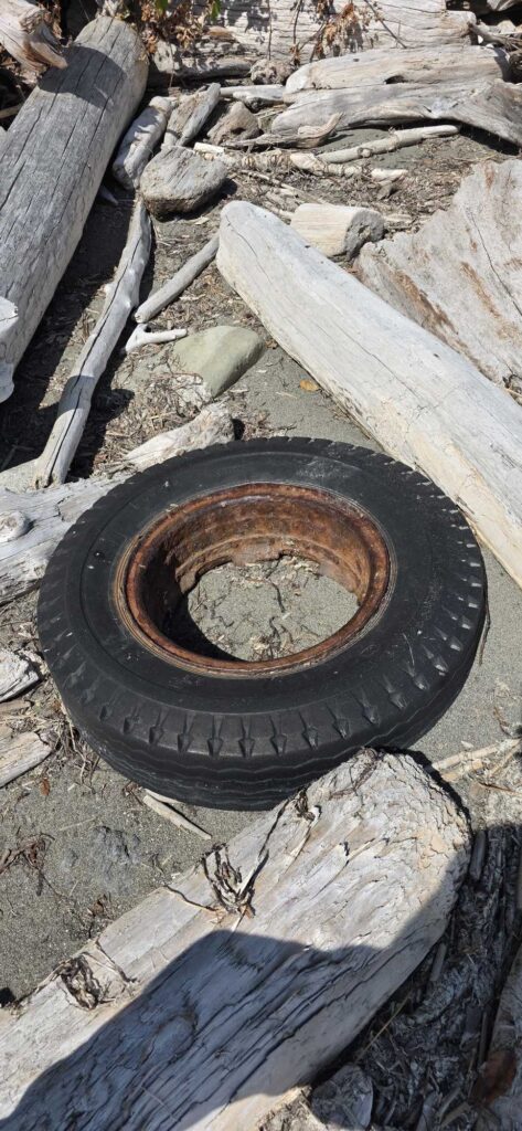 a tire on a pile of wood (MyCoast AI)