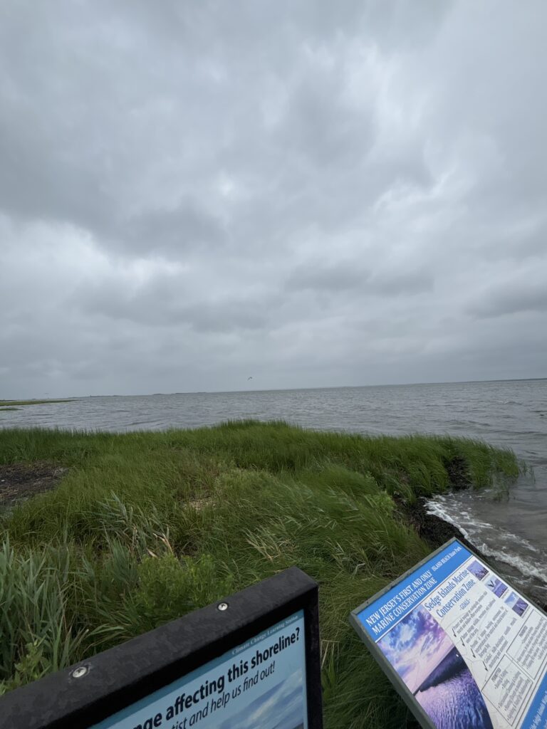 a book on a beach (MyCoast AI)
