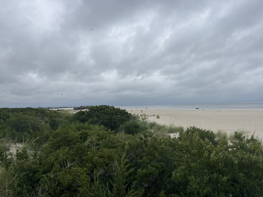 a beach with trees and bushes (MyCoast AI)