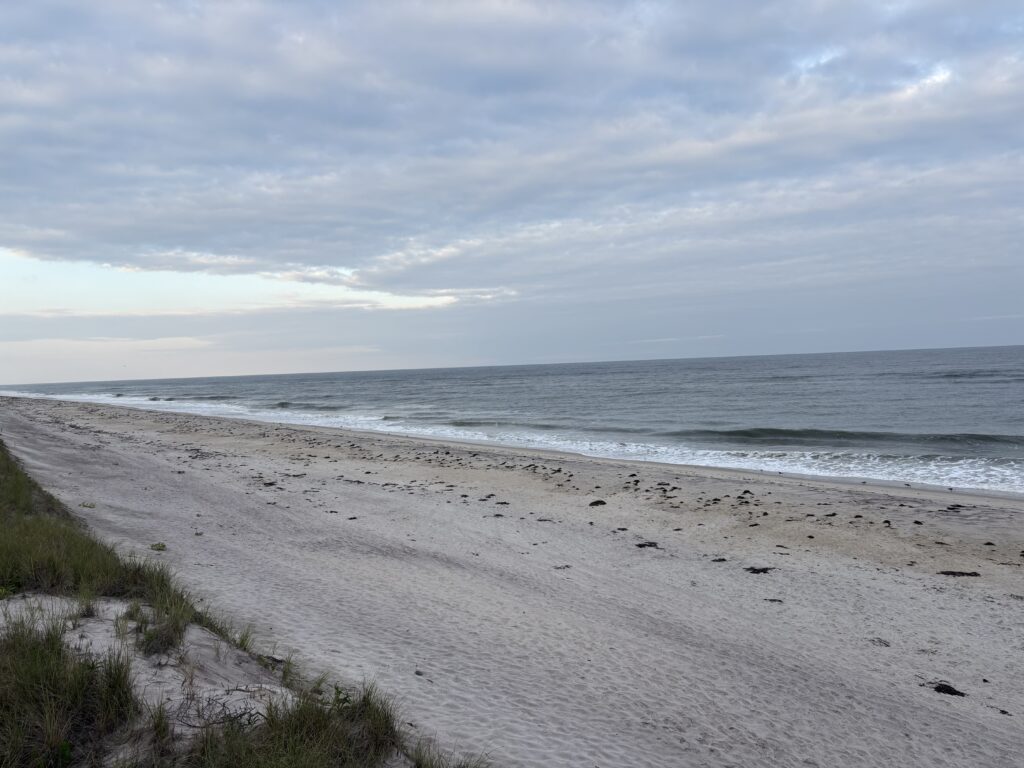 a beach with waves crashing on it (MyCoast AI)